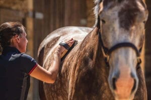 Common symptoms and affected areas